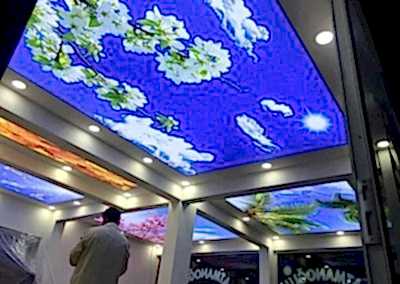 Gergi Tavan, Gergi Tavan Modelleri Baskılı Gergi Tavan 333