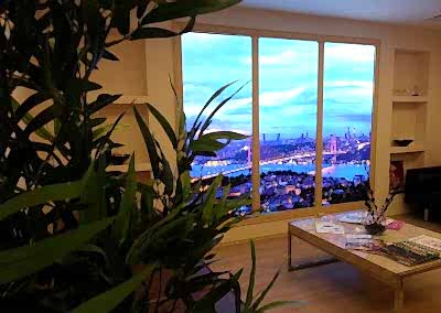 Gergi Tavan, Gergi Tavan Modelleri Baskılı Gergi Tavan 371