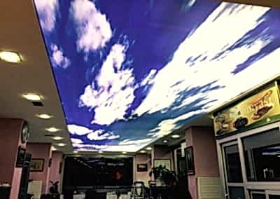 Gergi Tavan, Gergi Tavan Modelleri Baskılı Gergi Tavan 346