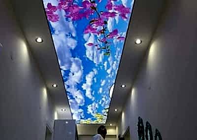 Gergi Tavan, Gergi Tavan Modelleri Baskılı Gergi Tavan 351