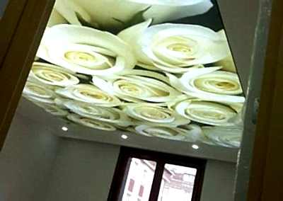 Gergi Tavan, Gergi Tavan Modelleri Baskılı Gergi Tavan 353