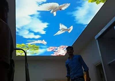 Gergi Tavan, Gergi Tavan Modelleri Baskılı Gergi Tavan 356