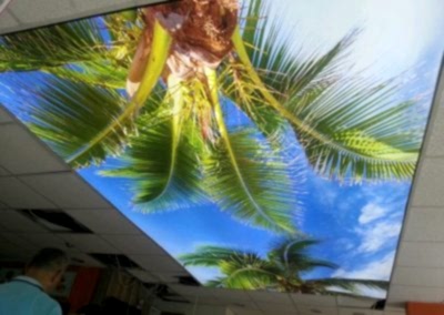 Gergi Tavan, Gergi Tavan Modelleri Baskılı Gergi Tavan 360