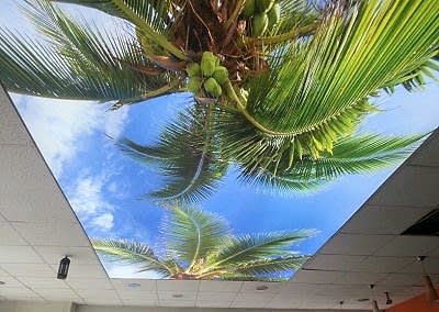 Gergi Tavan, Gergi Tavan Modelleri Baskılı Gergi Tavan 363