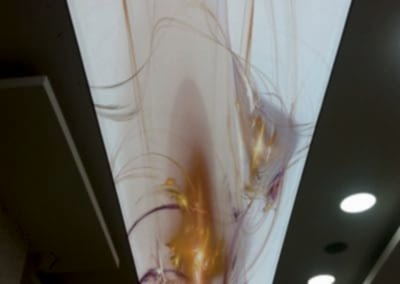 Gergi Tavan, Gergi Tavan Modelleri Baskılı Gergi Tavan 393