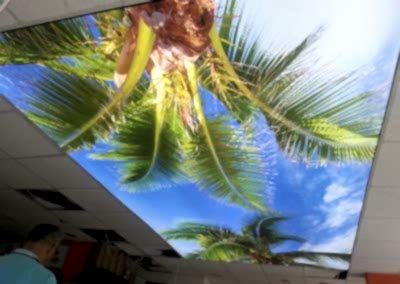 Gergi Tavan, Gergi Tavan Modelleri Baskılı Gergi Tavan 459