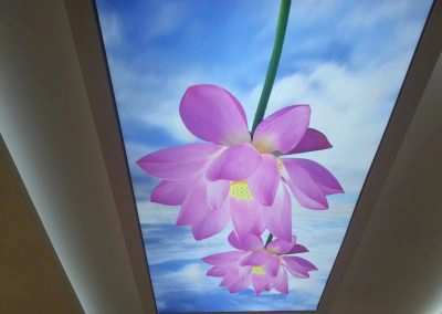 Gergi Tavan, Gergi Tavan Modelleri Baskılı Gergi Tavan 28