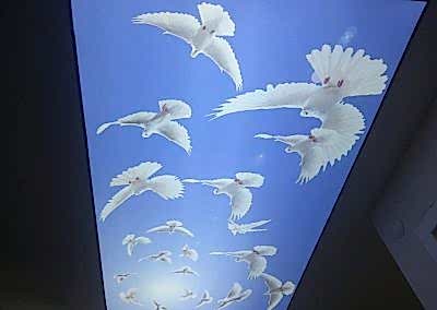 Gergi Tavan, Gergi Tavan Modelleri Baskılı Gergi Tavan 35