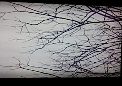 Gergi Tavan, Gergi Tavan Modelleri Baskılı Gergi Tavan 43