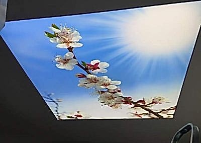 Gergi Tavan, Gergi Tavan Modelleri Baskılı Gergi Tavan 74