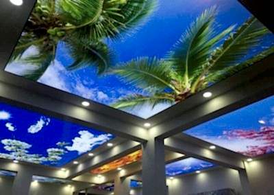 Gergi Tavan, Gergi Tavan Modelleri Baskılı Gergi Tavan 116