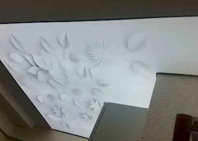 Gergi Tavan, Gergi Tavan Modelleri Transparan Gergi Tavan 50