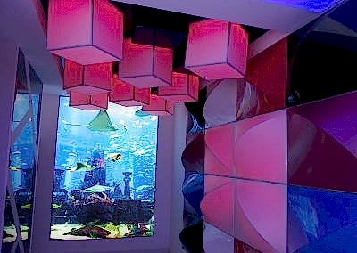 Gergi Tavan, Gergi Tavan Modelleri Lake Gergi Tavan 20