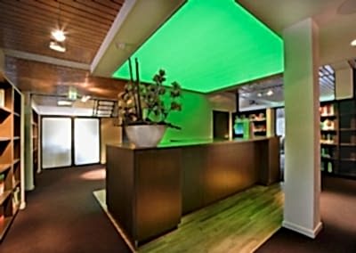 Gergi Tavan, Gergi Tavan Modelleri Transparan Gergi Tavan 201