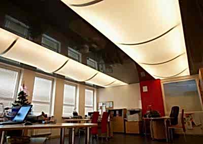 Gergi Tavan, Gergi Tavan Modelleri Transparan Gergi Tavan 206