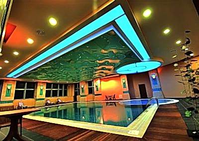 Gergi Tavan, Gergi Tavan Modelleri Transparan Gergi Tavan 213