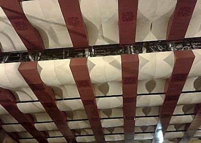 Gergi Tavan, Gergi Tavan Modelleri Transparan Gergi Tavan 37