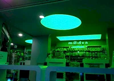 Gergi Tavan, Gergi Tavan Modelleri Transparan Gergi Tavan 204