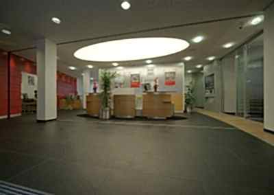 Gergi Tavan, Gergi Tavan Modelleri Transparan Gergi Tavan 220