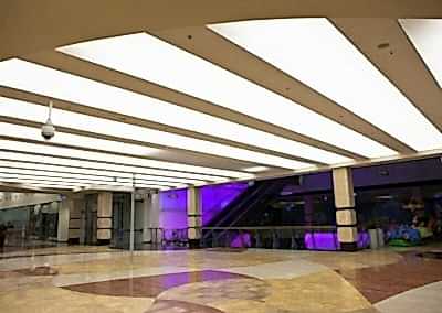 Gergi Tavan, Gergi Tavan Modelleri Transparan Gergi Tavan 100