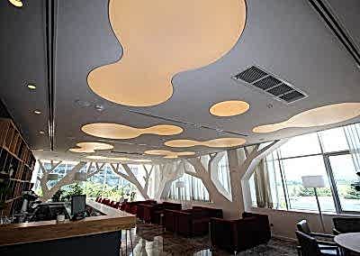 Gergi Tavan, Gergi Tavan Modelleri Transparan Gergi Tavan 130